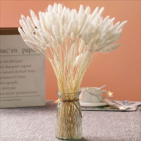 Amazon.com: Natural Dried Bunny Tail Grass - 110~120 Stems Rabbit Tail Grass, Lagurus Ovatus for Boho Decor, Dried Pampas Grass Flower Arrangements Wedding Home Kitchen Office Decor (White) : Home & Kitchen Rabbit Tail, Pampas Grass Bouquet, Dried Pampas, Event Centerpiece, Grass Decor, Pampas Grass Decor, Grass Flower, Grass Wedding, Dry Plants