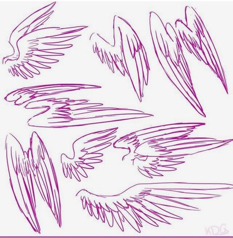 Wings Pose Reference, Wings Poses, How To Draw Wings, Draw Wings, Wings Sketch, Wings Drawing, Wings Art, Drawing Expressions, Concept Art Drawing