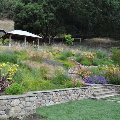 Northern California regional hillside - mediterranean - landscape - san francisco - Huettl Landscape Architecture Steps On Slope, California Landscape Design, Mediterranean Landscape Design, Landscaping On A Hill, Hillside Garden, Stone Steps, Tiered Garden, Hillside Landscaping, Mediterranean Landscaping