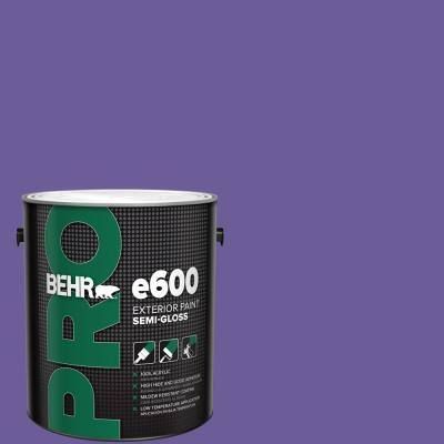 1 gal. #P560-6 Just a Fairytale Semi-Gloss Exterior Paint Paint Keys, Semi Gloss Paint, Concrete Block, 1 April, Gloss Paint, Paint Types, Paint Paint, Professional Painters, Paint Primer