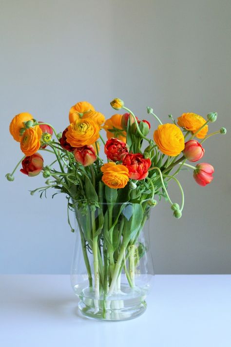 Ranunculus Bouquet, Winter Floral Arrangements, Flower Vase Arrangements, Tulips In Vase, Flower Arrangements Simple, Flower Farmer, Tulip Bouquet, Flower Packaging, Flower Therapy