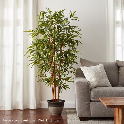 Indoor Bamboo Plant, Indoor Floor Plants, Indoor Bamboo, Palm Tree Decorations, Tree In Pot, Bamboo Plant, Wood Trunk, Fiddle Leaf Fig Tree, Palm Tree Leaves