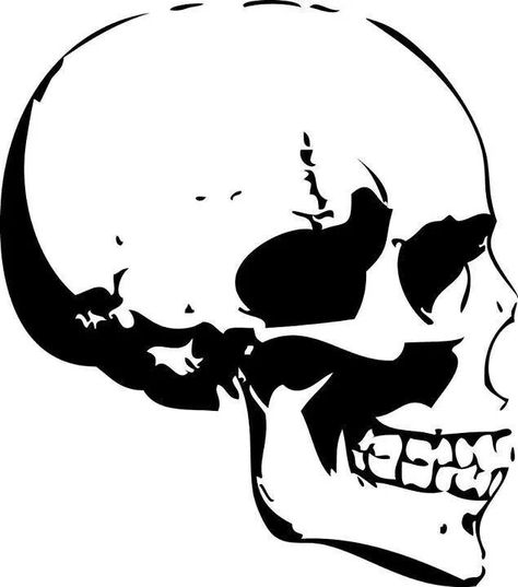 #skulls Skull Side Profile Drawing, Skull Side View Drawing, Skull Side Profile, Skull Side View, Side Profile Drawing, Alice In Wonderland Clocks, Side View Drawing, Skull Silhouette, View Drawing