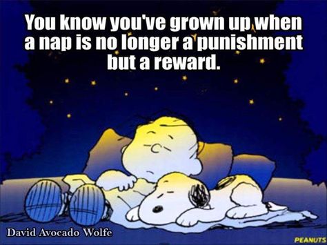 So true love it Nap Quotes, Nap Funny, Peanuts Quotes, Snoopy Funny, Snoopy Quotes, Snoopy Pictures, Snoopy Love, Charlie Brown And Snoopy, Grown Up