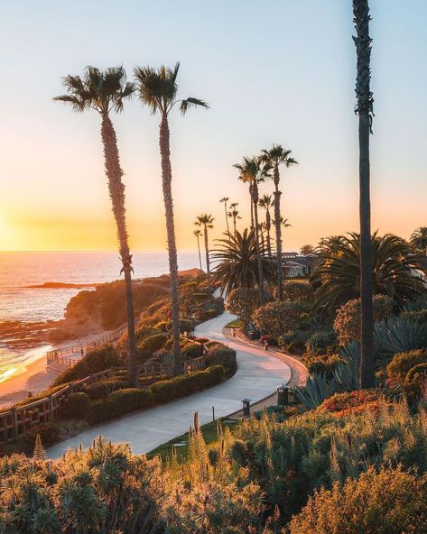 📍California Love on Instagram: “That Friday feelin' 🤗 Tag someone you want to visit Laguna Beach with! (📸 @derekrliang) #californialove” Alabama Hills, Montage Laguna Beach, Sutro Baths, California Vibe, Laguna Beach California, California Photos, Lake Powell, Cannon Beach, California Love