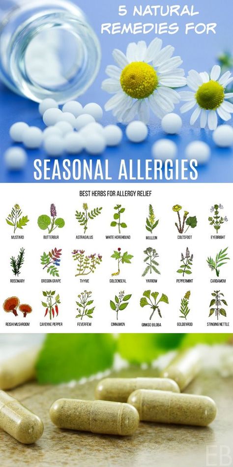 Learn 5 natural remedies to beat seasonal allergies, from homeopathics to herbs, even diet! || Eat Beautiful | #allergies #hayfever #diy #remedy #herbs #homeopathics Herbs For Allergies, Eat Beautiful, Cold Sores Remedies, Natural Healing Remedies, Natural Cold Remedies, Seasonal Allergies, Cold Home Remedies, Natural Cough Remedies, Cough Remedies