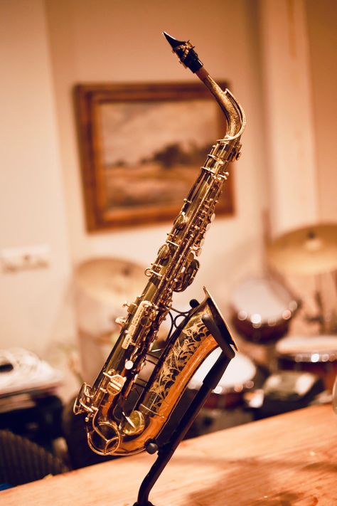 The Martin Committee III 1948 Alto Sax Aesthetic, Alto Saxophone Aesthetic, Saxophone Aesthetic, Saxophone Art, Saxophones, Band Nerd, The Martin, Alto Sax, Band Kid