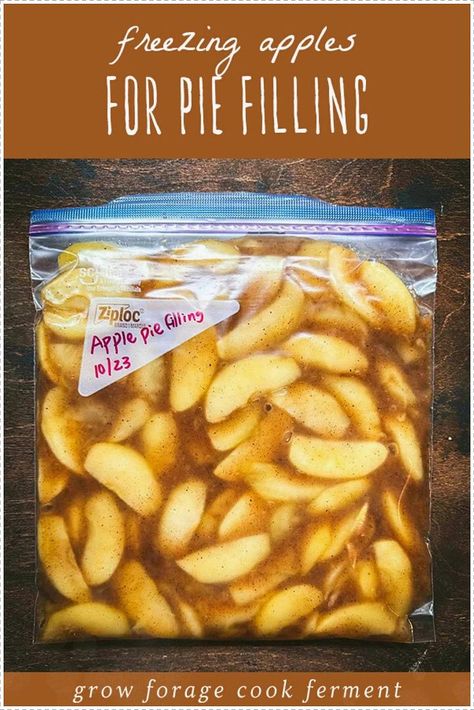 Want to start freezing apples for pie? This guide for make ahead apple pie filling is one the best, easy apple recipes for fall. This method preserves the freshness and flavor of apples, making baking homemade apple pie a piece of cake! Made without cornstarch, this simple apple pie filling is thickened with arrowroot powder. Find more Homesteading at growforagecookferment.com. Freezing Apples For Pie, Make Ahead Apple Pie, Simple Apple Pie Filling, Easy Apple Pie Filling Recipes, Apples For Pie, Freezer Apple Pie, Freezing Apple Pie, Preserve Apples, Pie Turnovers