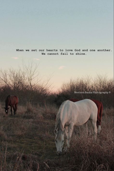 Christian Cowboy Aesthetic, Western Wallpaper With Quote, Western Couple Quotes, Positive Western Quotes, Ranch Life Quotes, Horse Wallpaper With Quotes, Cute Country Quotes Lyrics, Country Inspirational Quotes, Cute Cowgirl Quotes