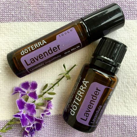 Lavender Blends, Doterra Lavender, 10 Essentials, Doterra Oils, Time Of The Day, Lavandula Angustifolia, Doterra Essential Oils, Oil Blends, Essential Oil Blends