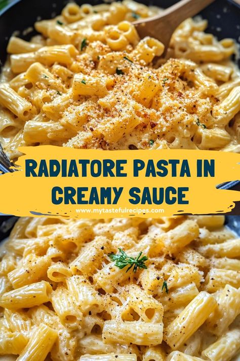 Learn how to create the perfect creamy Radiatore pasta that’s bursting with flavor. With just a few ingredients, you can make this delicious dish in no time! Light Pasta Dishes Healthy, Pasta Without Meat Recipes, Radiatori Pasta Recipes, Best Creamy Pasta Recipes, Fun Pasta Recipes, Pasta With Sour Cream, Sides For Pasta, Easy Creamy Pasta Recipes, Pasta Ideas For Dinner