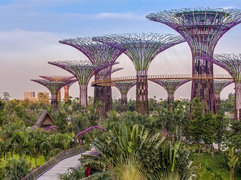 Things To Do In Singapore, Singapore Garden, Indoor Waterfall, Holland America Line, Largest Waterfall, Holland America, Johor Bahru, Gardens By The Bay, Bagan