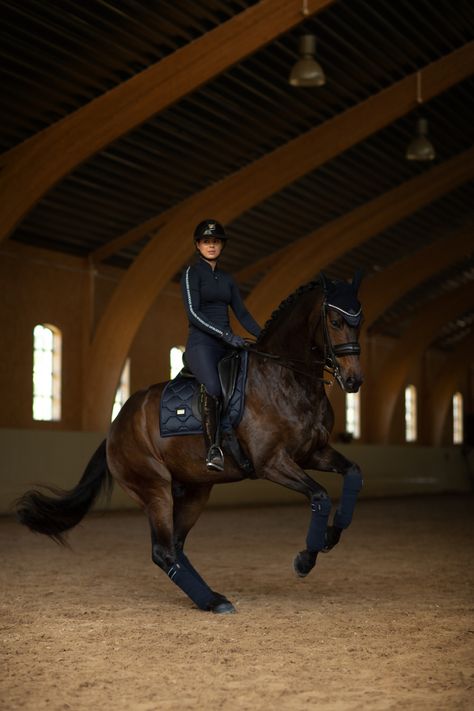 Dressage Horses Photography, Rich Equestrian Aesthetic, Dressage Aesthetic, Dressage Photography, Rich Equestrian, English Horse Riding, English Horses, Dressage Fashion, Equestrian Dressage