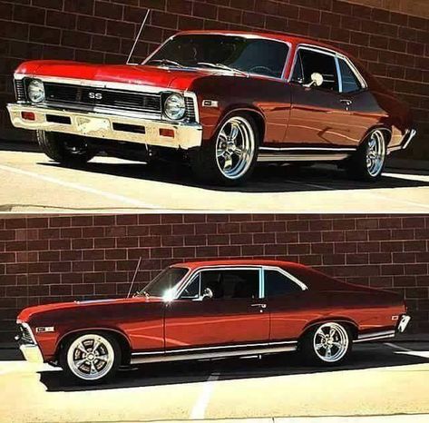 Muscle Cars Only Chevy Nova Ss, Old Muscle Cars, Chevy Muscle Cars, Chevrolet Nova, Chevy Nova, Mustang Fastback, Old School Cars, Sweet Cars, Audi A5