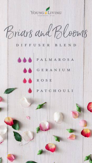 Diffuser Blends Young Living, Palmarosa Essential Oil, Essential Oil Combinations, Essential Oil Diffuser Blends Recipes, Young Living Essential Oils Recipes, Essential Oils Herbs, Yl Essential Oils, Essential Oil Diffuser Recipes, Oil Diffuser Recipes