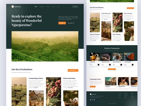 Tourism Website Design, Uiux Design, Tourism Website, Website Images, Website Design Inspiration, Website Templates, Amazing Destinations, Landing Page, Website Design