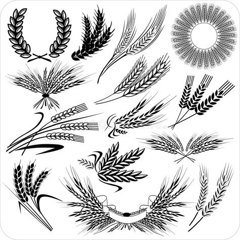 Wheat Images, Sunflower Sleeve, Wheat Drawing, Wheat Tattoo, Leather Templates, Laurel Wreath Crown, Tattoos Creative, Crown Illustration, Crown Drawing