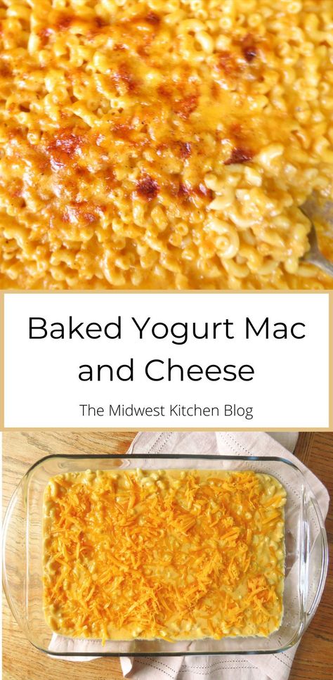 Greek Yogurt Mac And Cheese, Yogurt Mac And Cheese, Baked Yogurt, Ground Turkey Enchiladas, Make Mac And Cheese, Midwest Kitchen, Creamy Yogurt, Making Mac And Cheese, Elbow Pasta