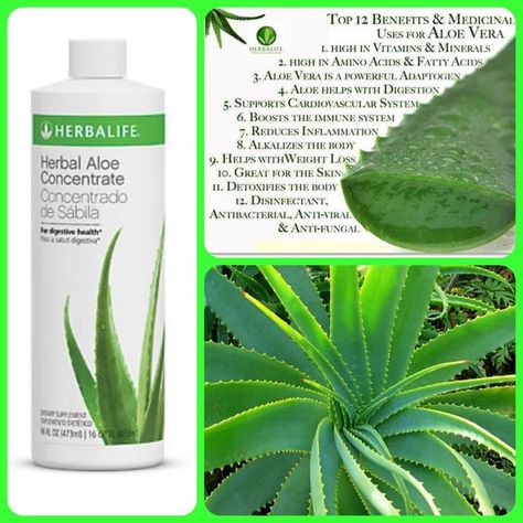 Aloe benefits! Soothe your stomach while supporting nutrient absorption and intestinal health with Herbal Aloe Concentrate. Formulated with premium-quality aloe vera, this product is a great replacement for soda or high-sugar juices and it’s available in a variety of flavors. Herbalife Plan, Aloe Benefits, Herbalife Quotes, Herbalife Nutrition Facts, Herbalife Aloe, Herbalife Tips, Herbalife Meal Plan, Herbalife Motivation, Aloe Vera Uses