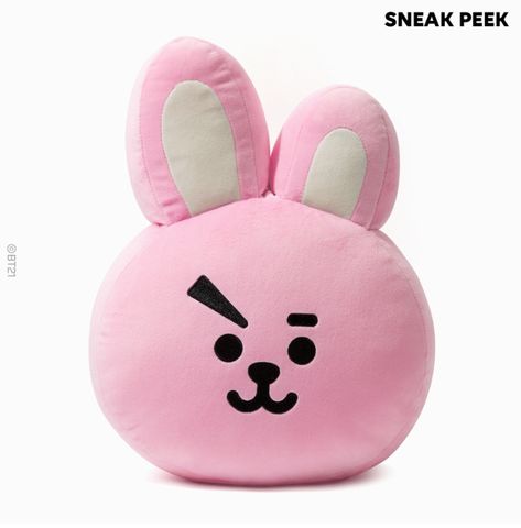 LINE FRIENDS BOX - COOKY Set Fluffy Throw Pillows, Puppet Toys, Face Pillow, Bantal Sofa, Kpop Merch, Kids Pillows, School Decorations, Line Friends, Decorative Throws