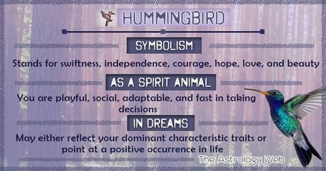 What Does A Hummingbird Symbolize, Meditation Signs, Hummingbird Spiritual Meaning, Wire Hummingbird, Hummingbird Meaning, Hummingbird Symbolism, Animal Totem Spirit Guides, Hummingbird Feather, Spirit Animal Meaning