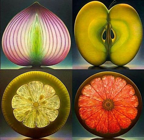 Dennis Wojtkiewicz, Fractals In Nature, Geometry In Nature, Fruit Photography, Foto Tips, Digital Art Illustration, Fruit Art, Natural Forms, Patterns In Nature