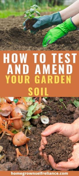 How To Test And Amend Your Garden Soil - Homegrown Self Reliance How To Test Your Soil At Home, Testing Soil For Garden, How To Test Soil, How To Make Soil More Acidic, How To Get Soil Ready For Gardening, Vegetable Garden Soil, Garden Soil Amendments, Garden Soil Mix, Biodynamic Gardening