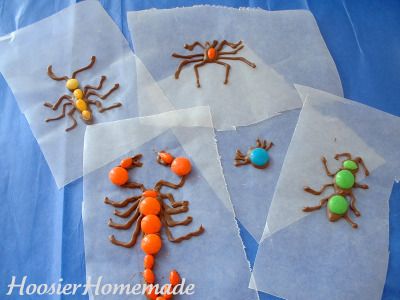 Insects Party Ideas, Bug Cupcakes For Kids, Bug Cakes For Boys, Easy Cute Cakes, Bug Cake Ideas, Insect Birthday Cake, Insect Cupcakes, Bug Decorations, Diy Bugs