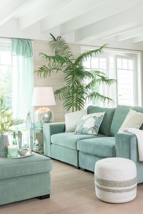 15 Modern Coastal Decor Ideas Your Home Needs | Aesthetic & Chic Coastal Decor Inspiration Palm In Pot, Mint Living Rooms, Aqua Living Room, Turquoise Living Room Decor, Living Room Turquoise, Bamboo Palm, Modern Coastal Decor, Coastal Living Rooms, Home Design Living Room