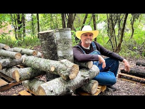 Growing Lion's Mane Mushrooms Using The Totem Method - YouTube Mushroom Foraging, Lion's Mane Mushroom, Indoor Farming, Mushroom Spores, Lions Mane, Lions Mane Mushroom, Lion's Mane, Lion Mane, Lion