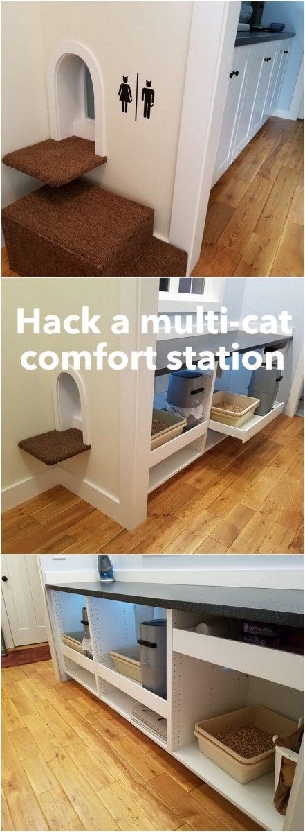 Spoiled kitty comfort station hidden in mudroom space http://www.ikeahackers.net/2017/06/diy-hidden-cat-litter-station.html Litter Box Ideas, Ikea Sektion Cabinets, Kat Diy, Cat Hiding, Ikea Hackers, Cat Furniture Diy, Dog Rooms, Animal Room, Small Space Diy