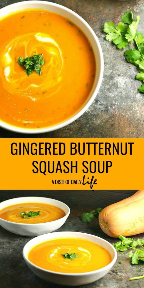 Butternut Squash Sweet Potato, Lebanese Lentil Soup, Butternut Squash Sweet, Butternut Squash Recipes Soup, Soup Appetizers, Squash Soup Recipe, Fall Soups, Sweet Potato Soup, Dinner Appetizers