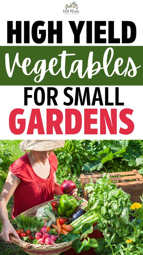 High-Yielding Fruits and Vegetables to Plant in Your Culinary Garden Small Home Garden Ideas Vegetables, High Yield Vegetable Garden, Maximize Garden Space, Vegetable Garden Plans, Above Ground Vegetables List, Uk Vegetable Planting Guide, How Far Apart To Plant Vegetables, Best Time To Plant Vegetables Raised Beds, Vegetable Gardening