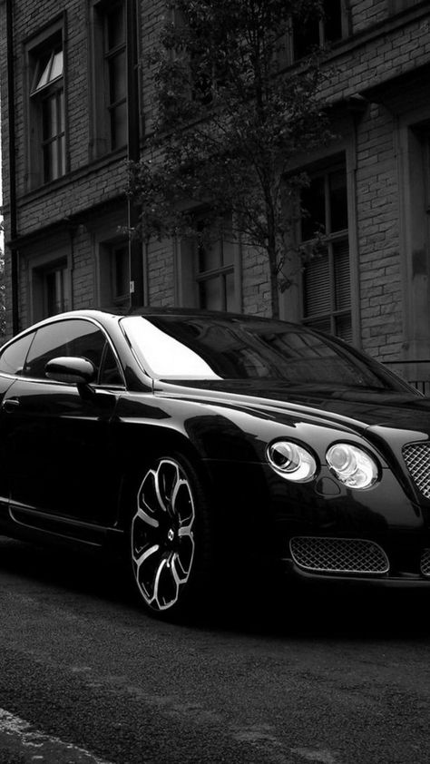 Continental Gt, Car Wallpaper, Bentley Continental Gt, Bentley Continental, Bentley, A Car, Wallpapers, Cars, White