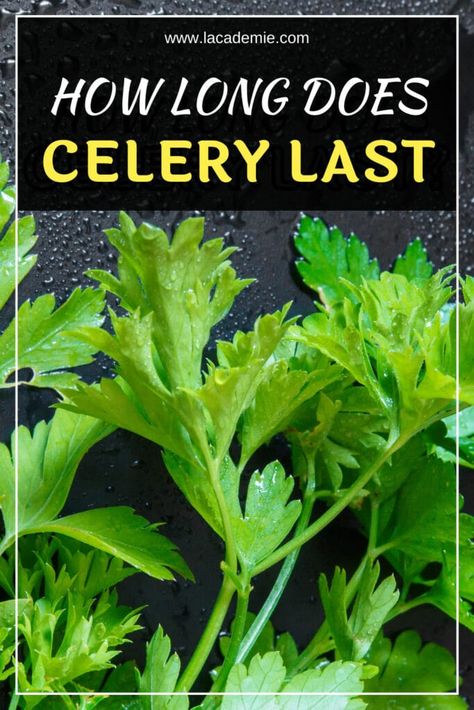 How To Freeze Celery, How To Store Celery, The Joy Of Cooking, Celery Juice, Celery Seed, Magic Recipe, Joy Of Cooking, Random Pictures, The Question