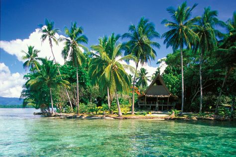 8. Must-visit Pacific Islands: Marovo Lagoon, Solomon Islands Georgia Islands, Honeymoon Vacations, Africa Do Sul, Pacific Islands, Be Active, Beach Lifestyle, Solomon Islands, Island Travel, Island Resort