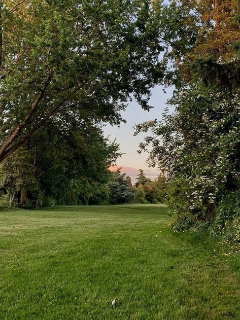 Me As An Place, June Aesthetic, Outdoors Aesthetic, Blueberry Farm, Field Photography, Look Wallpaper, Meteor Garden 2018, Magic Garden, Open Field