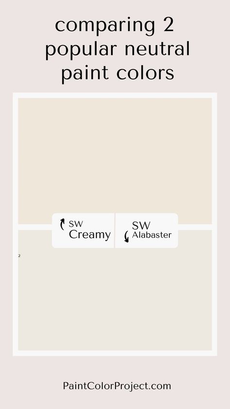 Looking for the perfect cream paint color? Let's compare Sherwin williams Creamy vs Alabaster undertones, LRV, and how to decide which is better for your home! Sherwin Williams Creamy Vs Alabaster, She Twin Williams Creamy, Sw Creamy Vs Alabaster, Creamy Vs Alabaster, Sw Creamy Paint, Creamy Sherwin Williams, Sw Creamy, Cream Wall Paint, Sherwin Williams Alabaster White