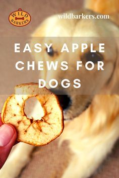 Diy Dog Treats Healthy, Wholesome Dog, Pet Treats Recipes, Dog Treat Recipe, Dog Treats Homemade Easy, Easy Dog Treat Recipes, Natural Dog Chews, Dog Biscuit Recipes, Easy Dog Treats