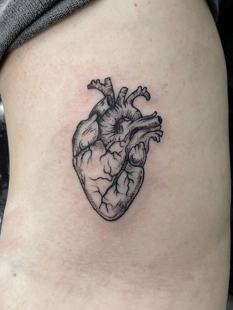 Real Heart Tattoos, Human Heart Tattoo, Realistic Heart Tattoo, Anatomical Tattoos, Anatomy Tattoo, Brain Tattoo, Red Heart Tattoos, Anatomical Heart Tattoo, Tattoo Shading