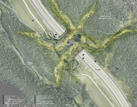 What Is ARC | Wildlife Crossing Structures | ARC Solutions - Animal Road… Green Corridor, Corridor Design, Urban Park, Design Competitions, Universal Design, City Design, Site Plan, Urban Planning, Landscape Architect