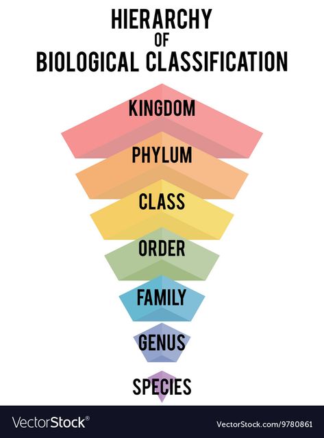 Ultimate Fictional Classification, Plant Taxonomy, Biological Classification, Bio Notes, Carl Linnaeus, Study Biology, Environmental Justice, Life On Mars, Homeschool Science