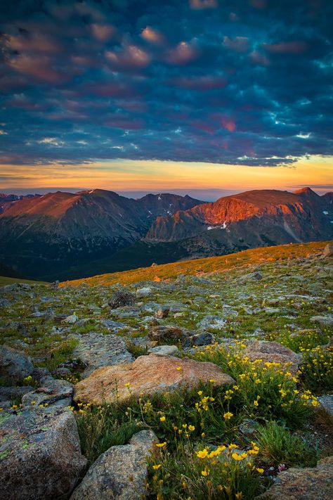 Sunrise along the Trail Ridge Road in Rocky Mountain National Park. The highway through the park in Colorado is the highest elevation trip in the country. With several miles of the road above 12,000 feet the highway takes visitors through an alpine tundra for a unique experience only witnessed in the Lower 48. You would have to travel to the Arctic Circle to visit an ecosystem such as this. Photo by Kyle Spradley | © Kyle Spradley Photography | www.kspradleyphoto.com Rocky Mountains Photography, Alpine Tundra, Rocky Mountain Wildlife, National Geographic Mountains, Northern Rocky Mountain Wolf, Mountain Photography, Natural Landscape, Arctic Circle, Scenic Byway