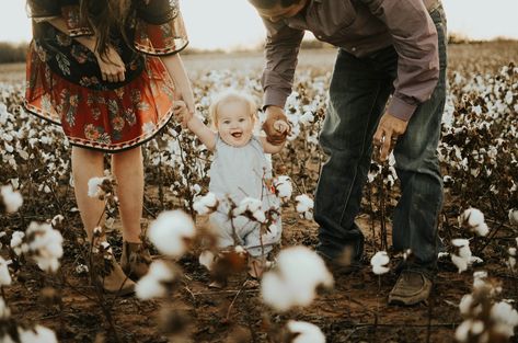 Fall Cotton Field Family Pictures, Fall Family Pictures With Baby, Cotton Field Photoshoot, Family Pictures With Baby, Cotton Field Photography, Field Photoshoot, Field Photography, Cotton Fields, Baby Shoot