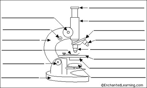 microscope to label Microscope Diagram, Google Animation, Microscope Drawing, Google Animations, Light Microscope, Healing Reflexology, Compound Microscope, Optical Microscope, Microscope Parts