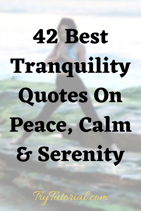 Quotes On Serenity, Peace And Tranquility Quotes, Serenity Quotes Nature, Quotes About Nature And Peace, Tranquil Quotes, Serenity Pictures, Animal Cuddles, Tranquility Quotes, Quotes For Peace