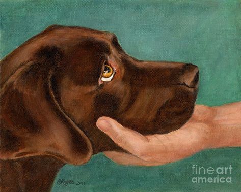 Lab Art, Pet Portraiture, Labs Art, Holland Park, Homeless Dogs, Popular Dog Breeds, Most Popular Dog Breeds, Labrador Retriever Puppies, Chocolate Labrador