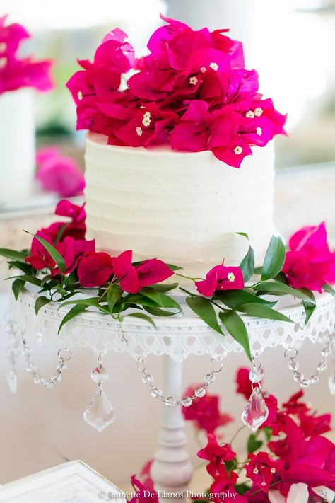 #weddingcake #bougainvillea #weddingflowers #pinkcake #simpleweddingcake #singletier #weddingphotography #tropicalwedding #keyswedding #islandwedding #floridawedding Bougainvillea Wedding Cake, Fuchsia Wedding Cake, Bougainvillea Cake, Milos Wedding, Naxos Wedding, Bougainvillea Bouquet, Tropical Birthday Cake, Mexican Wedding Decorations, Bougainvillea Wedding