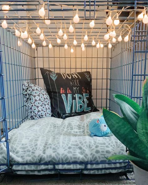 Decorated Dog Kennel, Dog Cage Decor, Cozy Dog Crate Ideas, Decorated Dog Cage, Aesthetic Dog Kennel, Cute Dog Kennel Ideas Indoor, Aesthetic Dog Crate Ideas, Pet Cage Ideas, Puppy Set Up Ideas In Bedroom