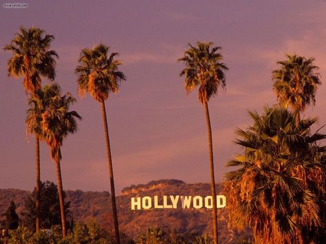 I still get excited when I see the Hollywood sign.  Silly, I know. Tan Aesthetic, Hollywood Aesthetic, Visit Los Angeles, Tori Vega, Trees Wallpaper, 달력 디자인, Gossip Girls, Istoria Artei, Los Angeles Travel